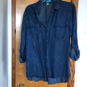 Francescas chambray button up blouse